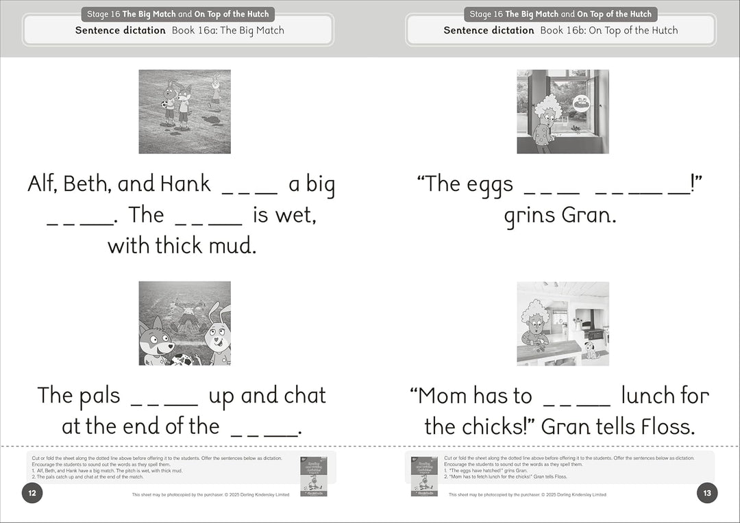 Dandelion Launchers Extras Stages 16-20 Reading and Writing Activities