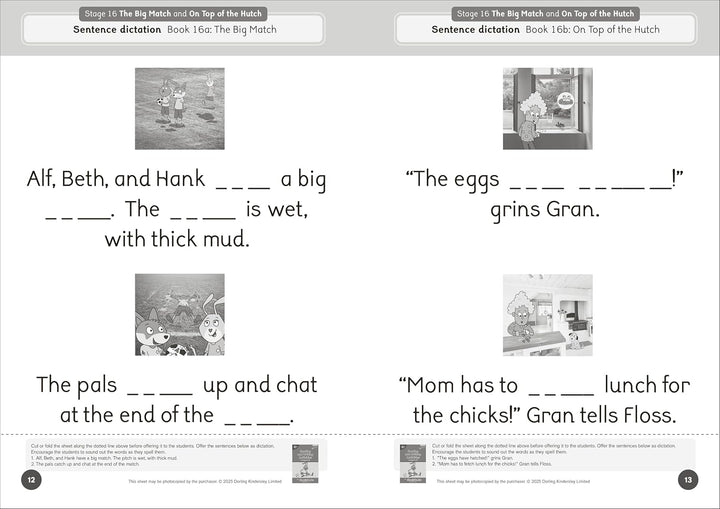 Dandelion Launchers Extras Stages 16-20 Reading and Writing Activities