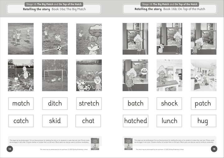 Dandelion Launchers Extras Stages 16-20 Reading and Writing Activities