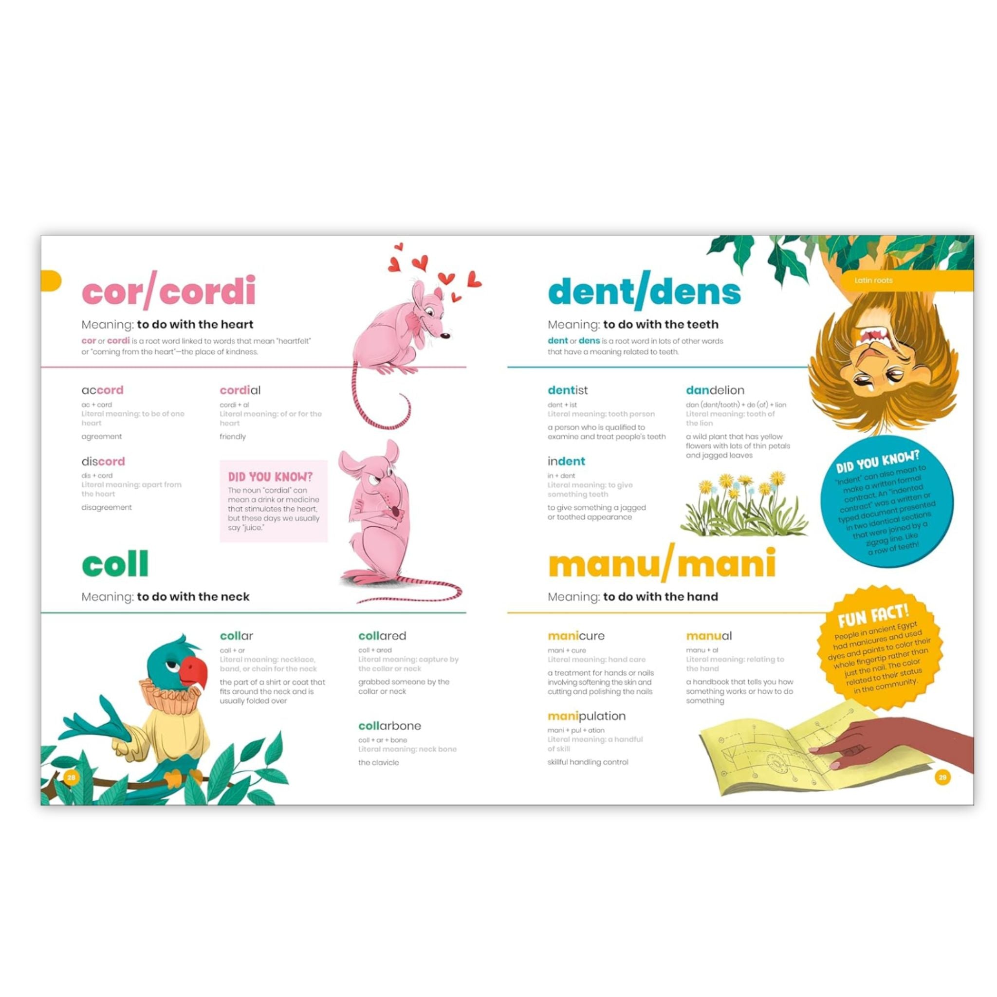 DK SUPER Where Words Come From – West Coast Literacy
