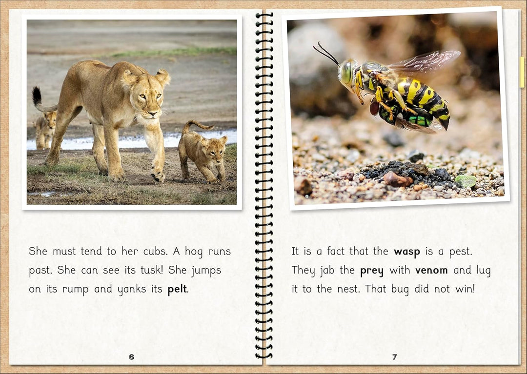 The Fact Files 1