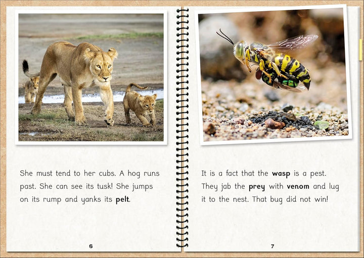 The Fact Files 1