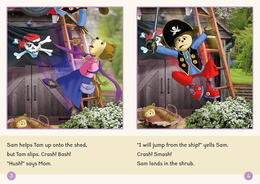 Dandelion Readers Set 1 Units 11-20 Pip Gets Rich