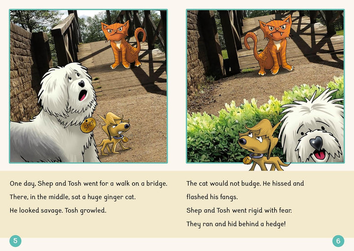 Dandelion Readers Further Spellings and Suffixes Level 4