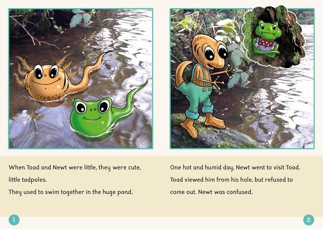 Dandelion Readers Further Spellings and Suffixes Level 4