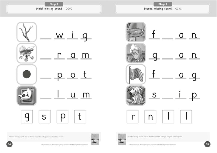 Dandelion Launchers Extras Stages 8-15 Reading and Writing Activities (EXTRAS)