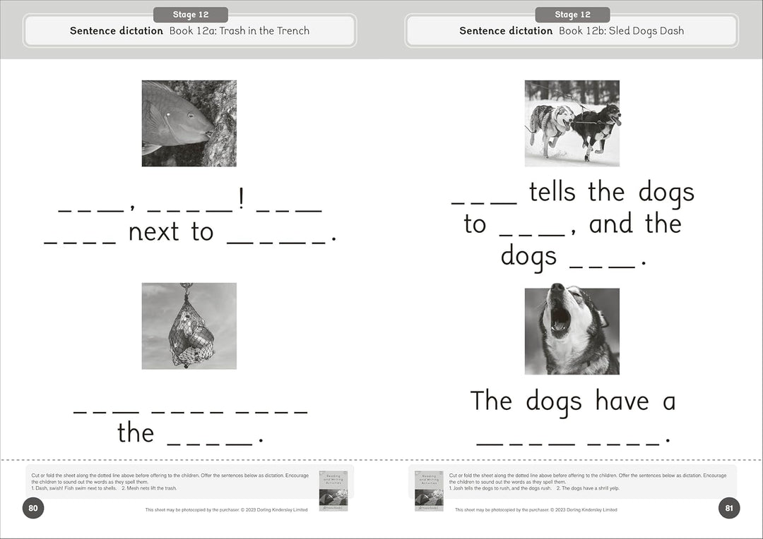 Dandelion World Reading and Writing Activities for Stages 8-15