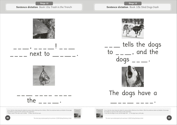 Dandelion World Reading and Writing Activities for Stages 8-15