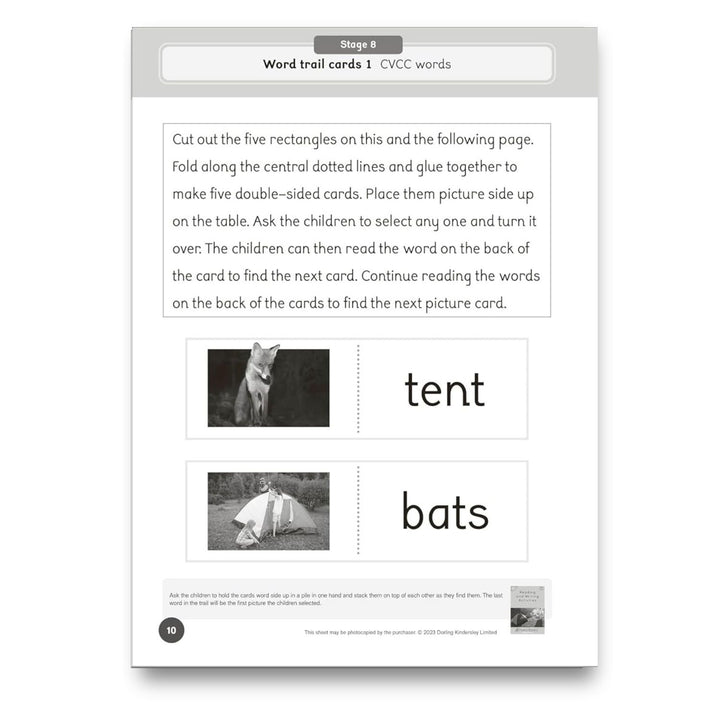 Dandelion World Reading and Writing Activities for Stages 8-15