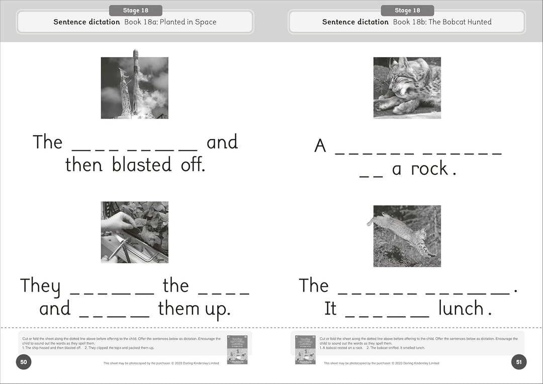Dandelion World Reading and Writing Activities for Stages 16-20