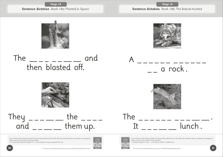 Dandelion World Reading and Writing Activities for Stages 16-20