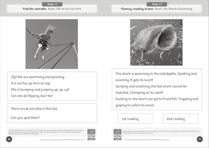 Dandelion World Reading and Writing Activities for Stages 16-20