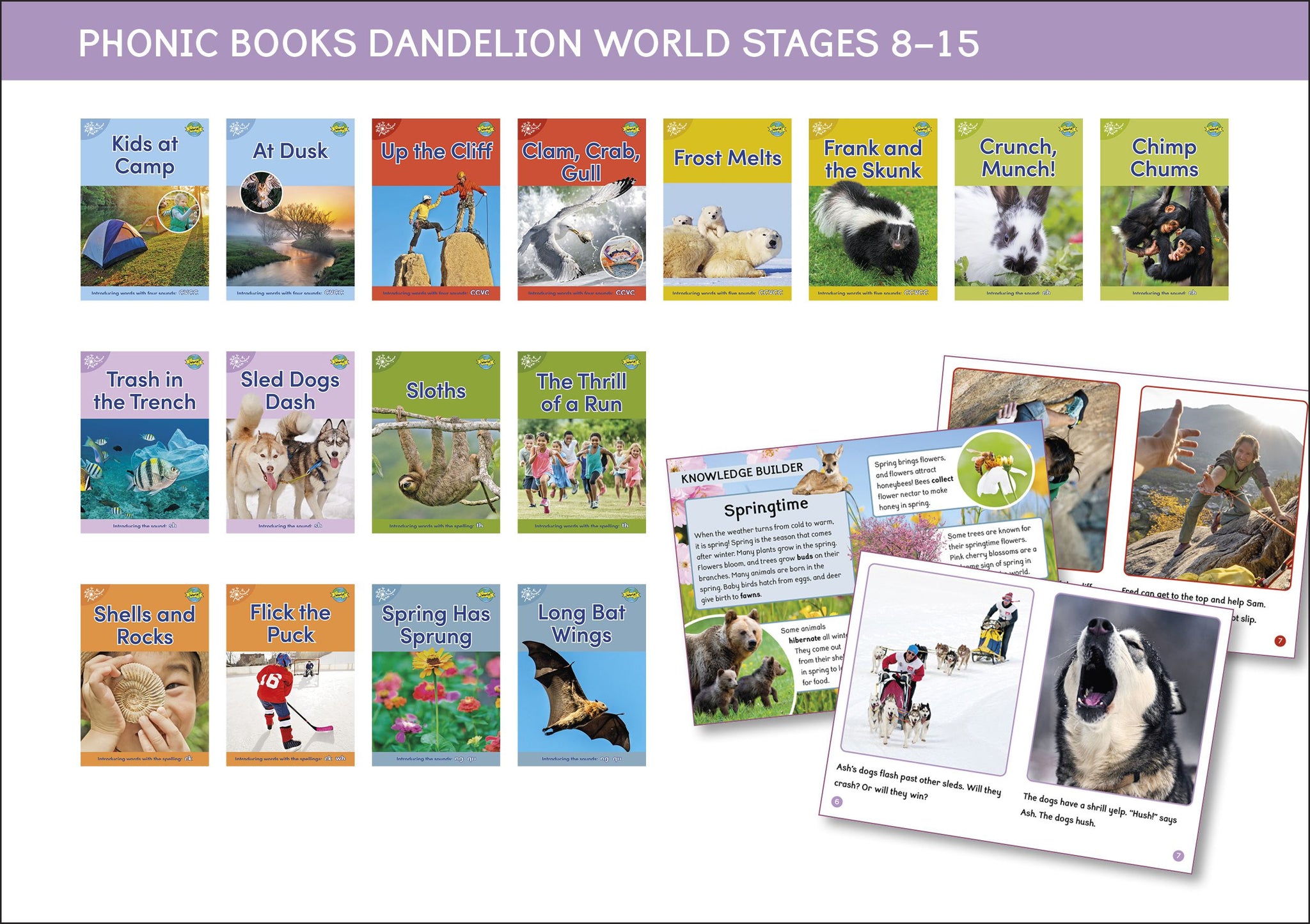 Dandelion World Stages 8-15