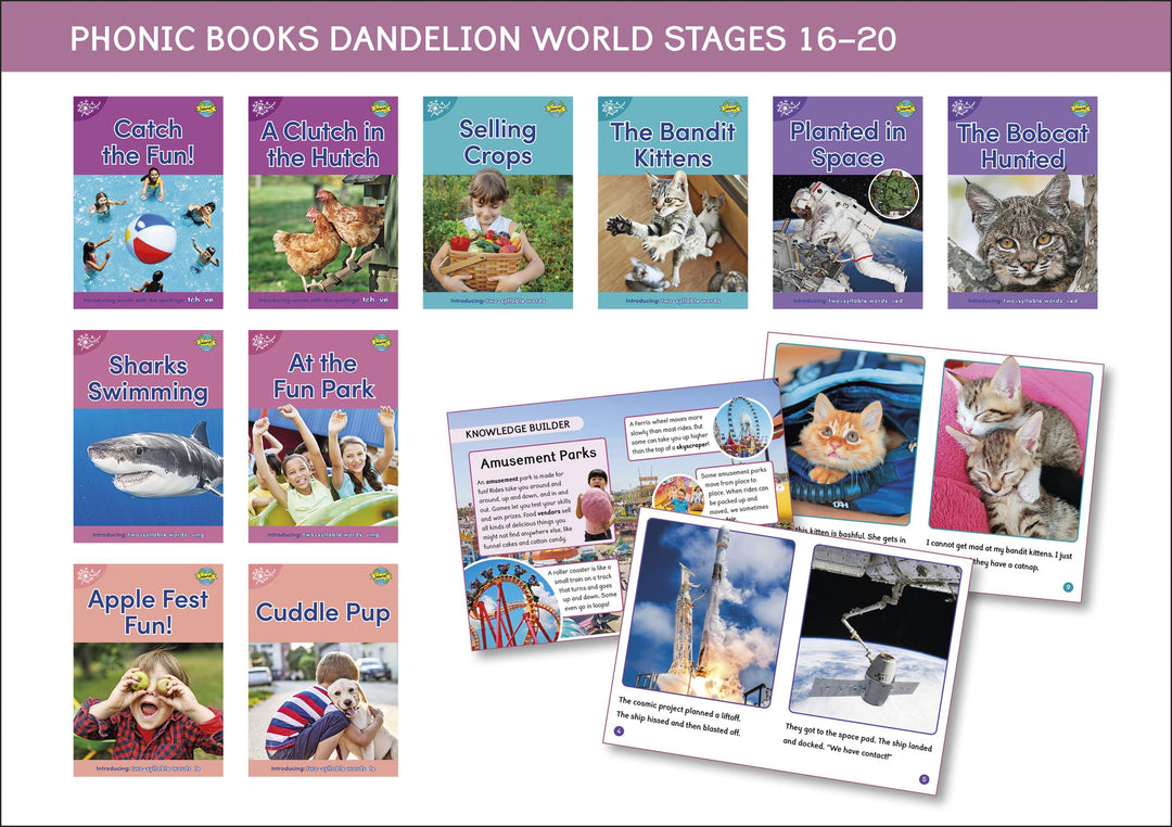 Dandelion World Stages 16-20