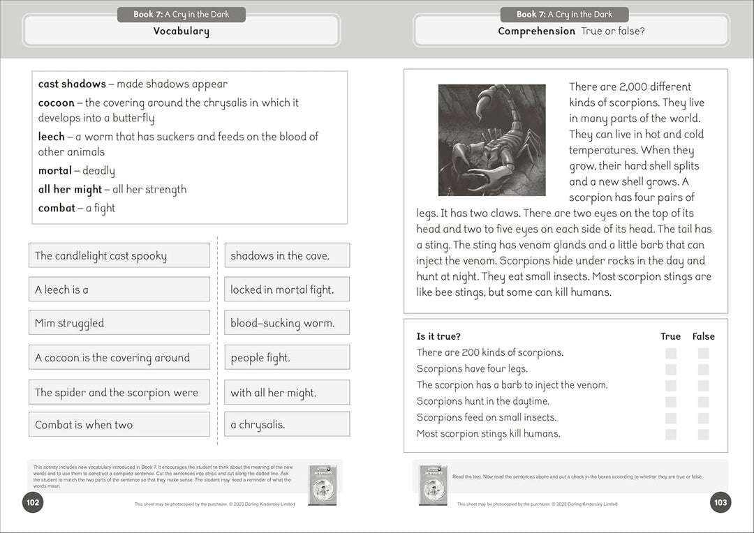 Talisman 1 Activities