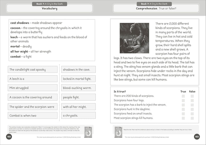 Talisman 1 Activities