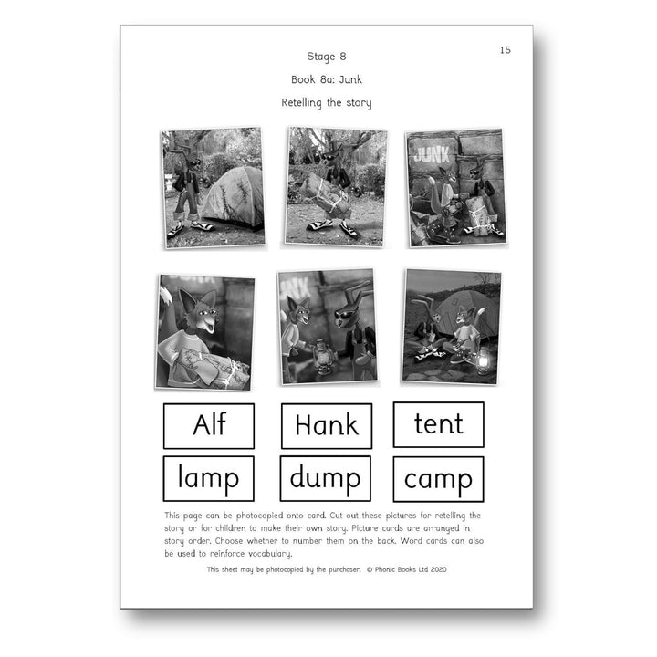 Dandelion Launchers Stages 8-15 Reading and Writing Activity Book