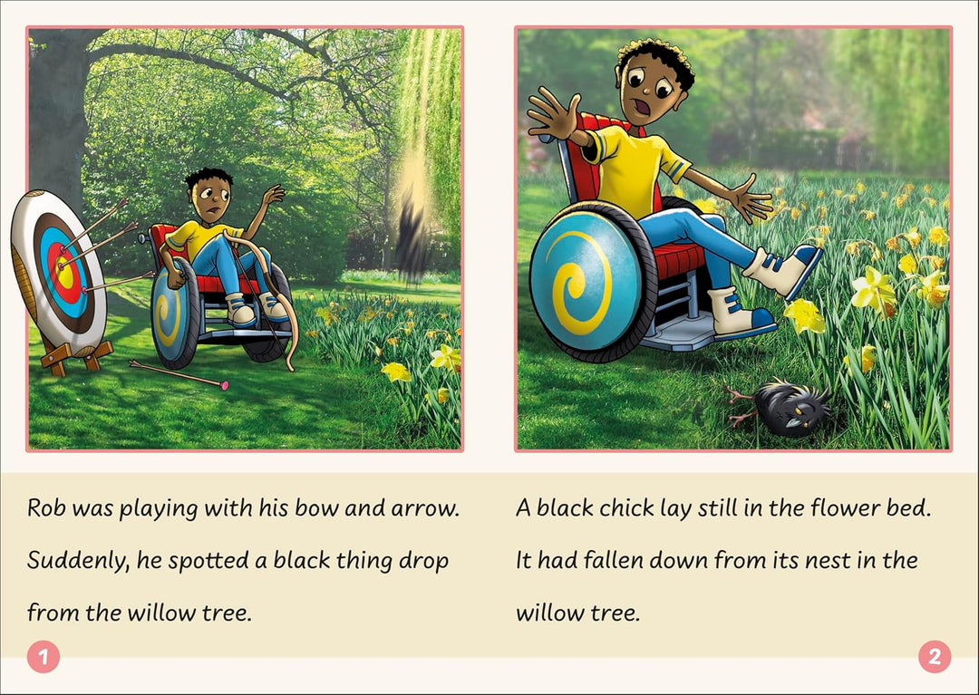 Dandelion Readers Vowel Spellings Level 3