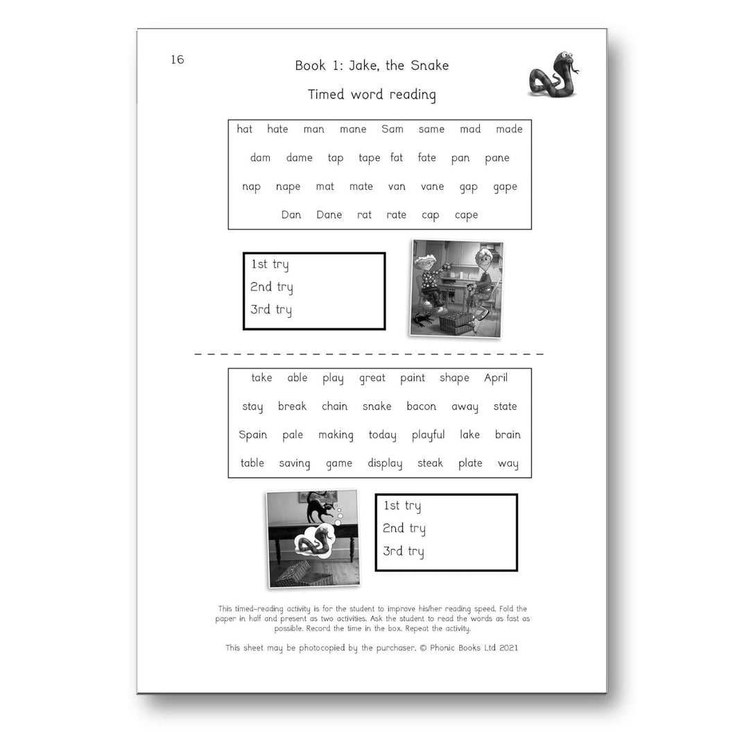 Dandelion Readers Vowel Spellings Level 3 Activities