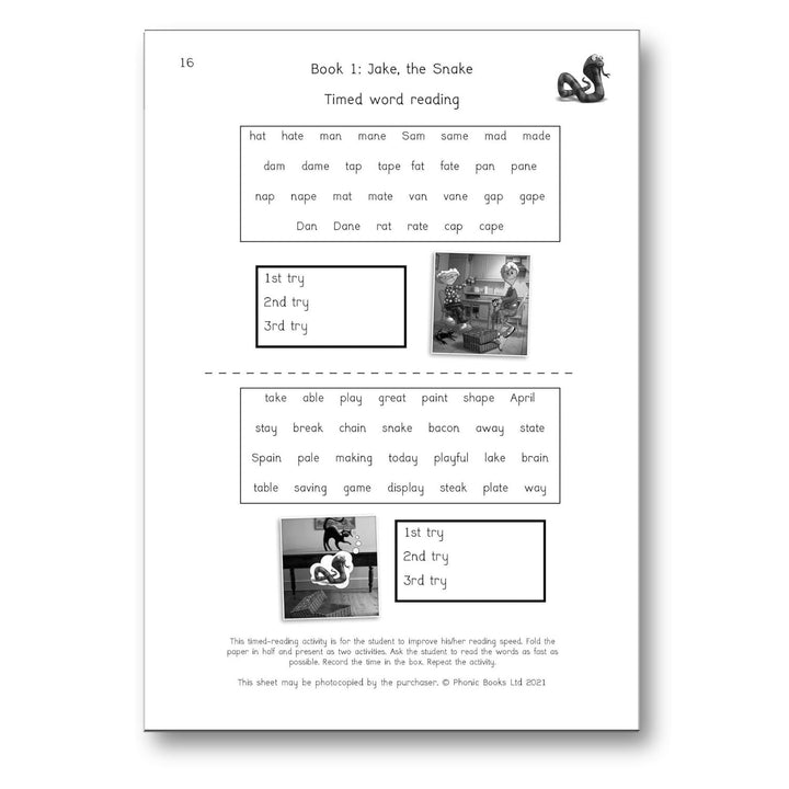 Dandelion Readers Vowel Spellings Level 3 Activities