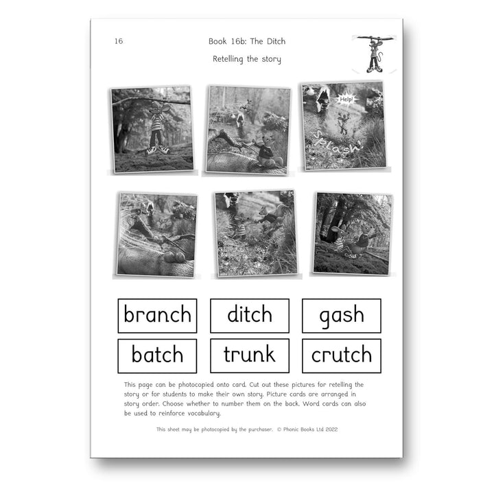 Dandelion Launchers Stage 16-20 Reading and Writing Activities