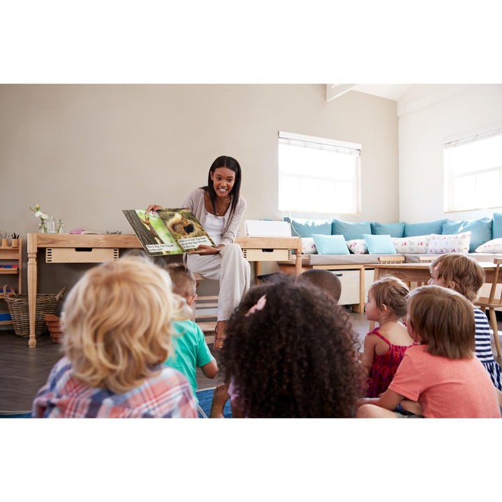 Decodable Big Books Non-Fiction