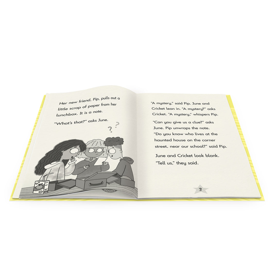 June Bloom Decodable Chapter Books Box Set Vowel Sounds (Phase 5)