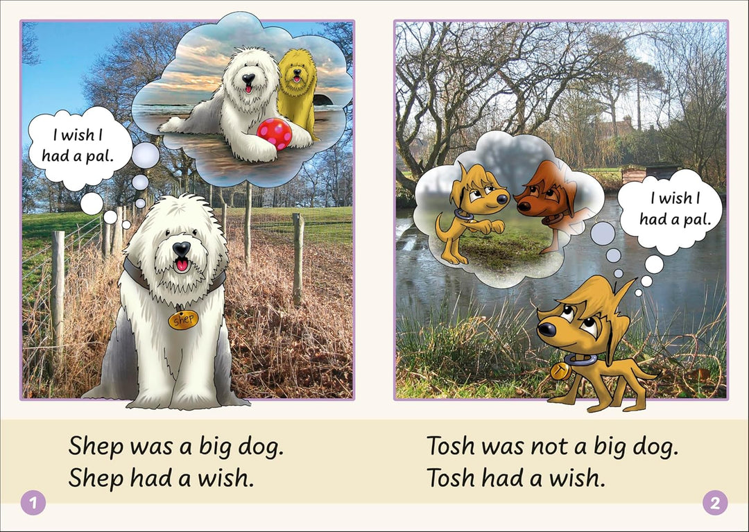 Dandelion Launchers Stages 8-15