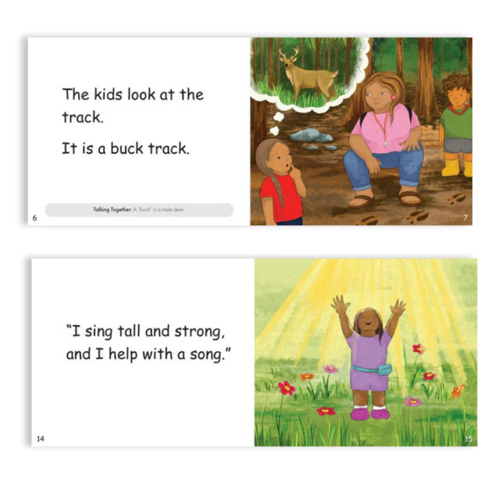 Cedar School Decodable Stories (20 book set)