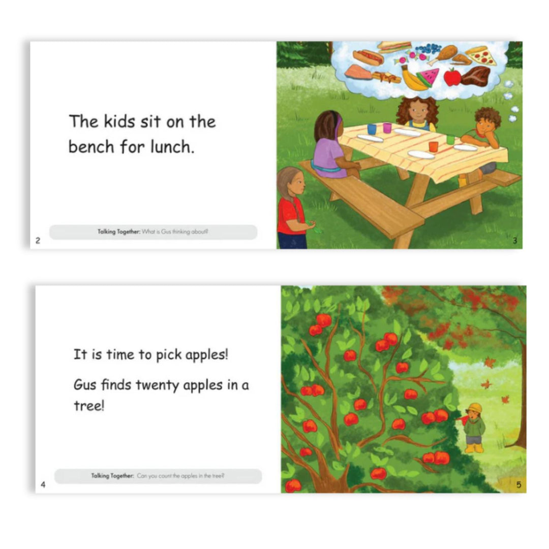 Cedar School Decodable Stories (20 book set)