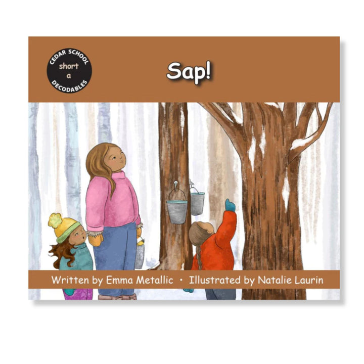 Cedar School Decodable Stories (20 book set)