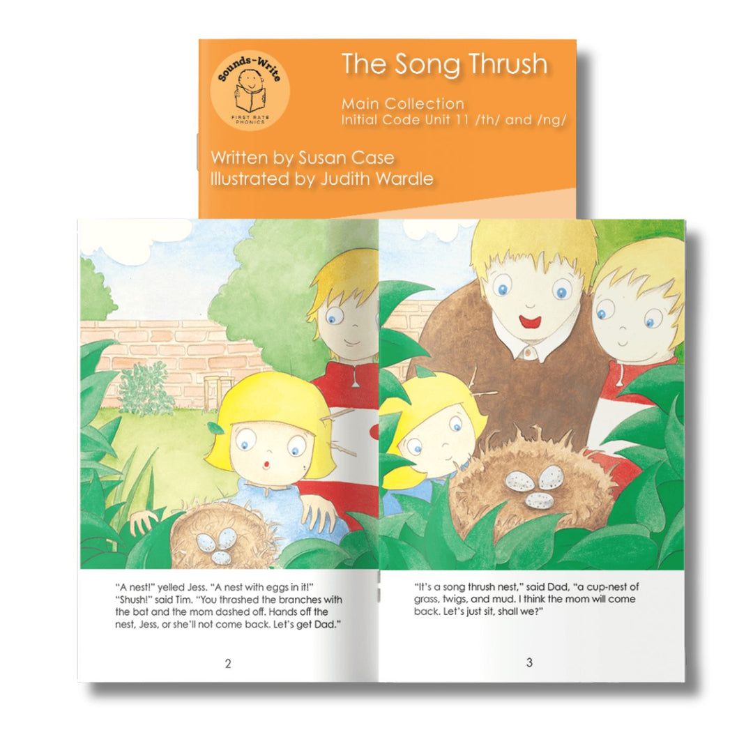 Initial Code Main Collection Units 8-11