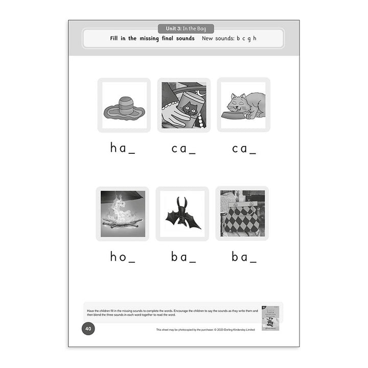 Dandelion Readers Reading & Writing Activities Set 1 Units 1-10 Sam