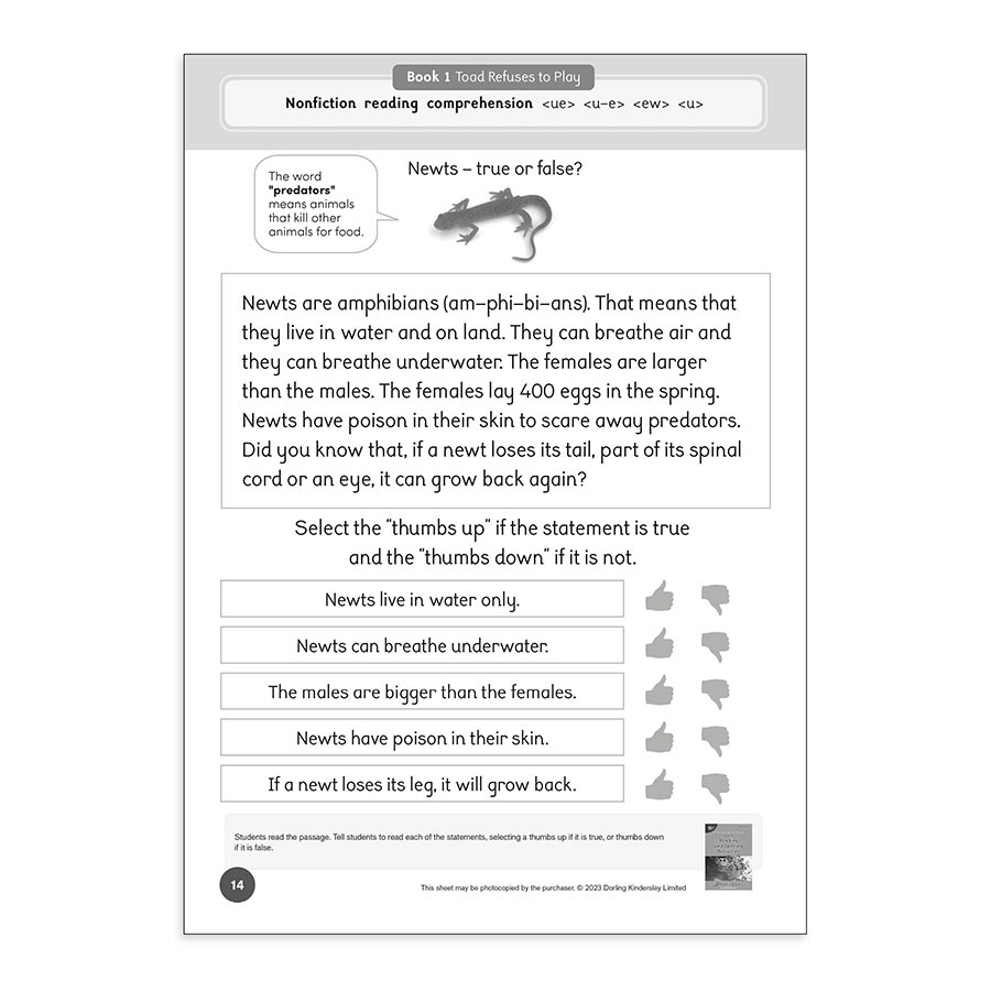 Dandelion Readers Level 4 Reading and Spelling Activities