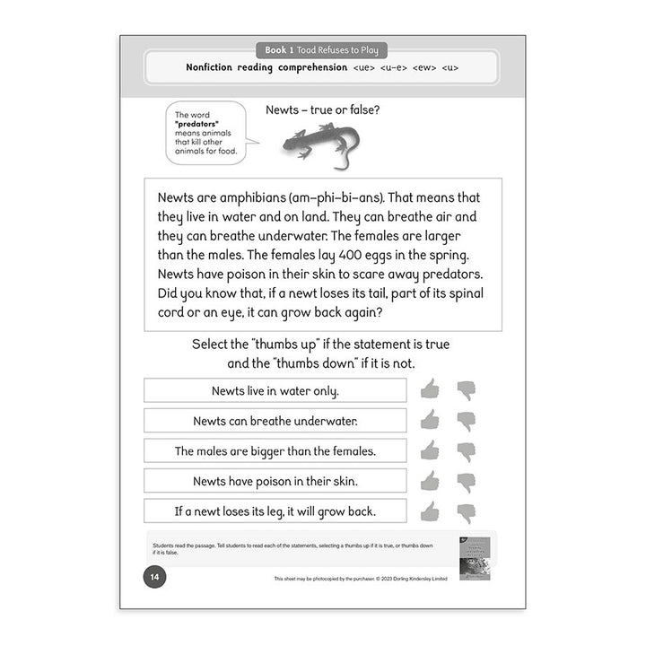 Dandelion Readers Level 4 Reading and Spelling Activities
