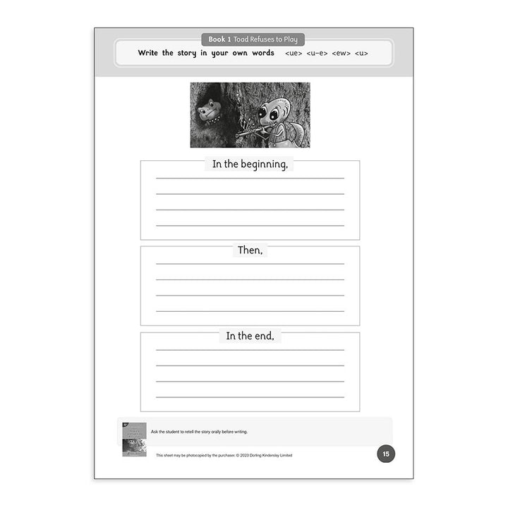 Dandelion Readers Level 4 Reading and Spelling Activities