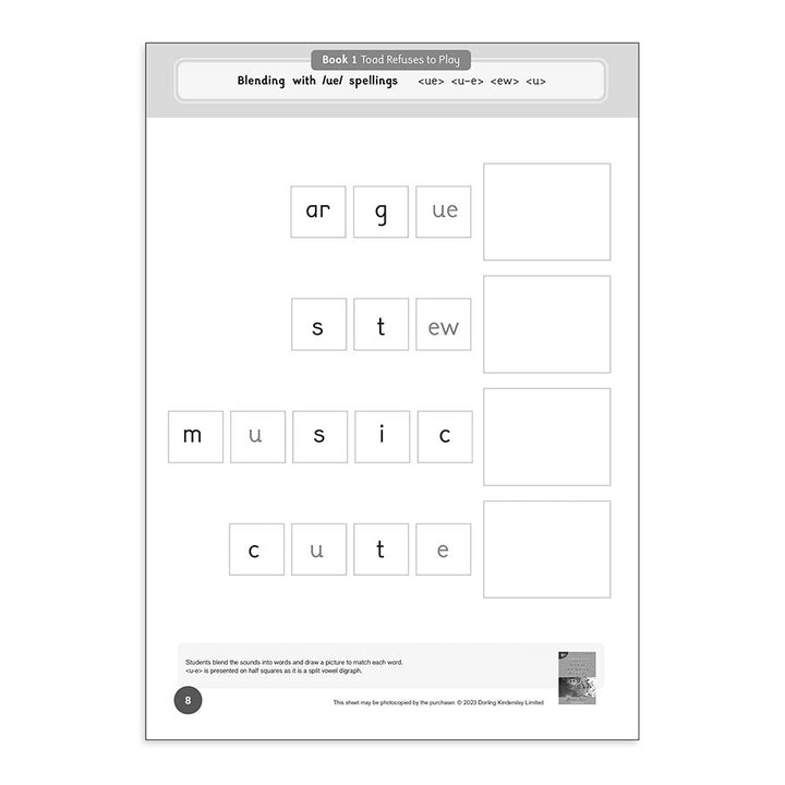 Dandelion Readers Level 4 Reading and Spelling Activities