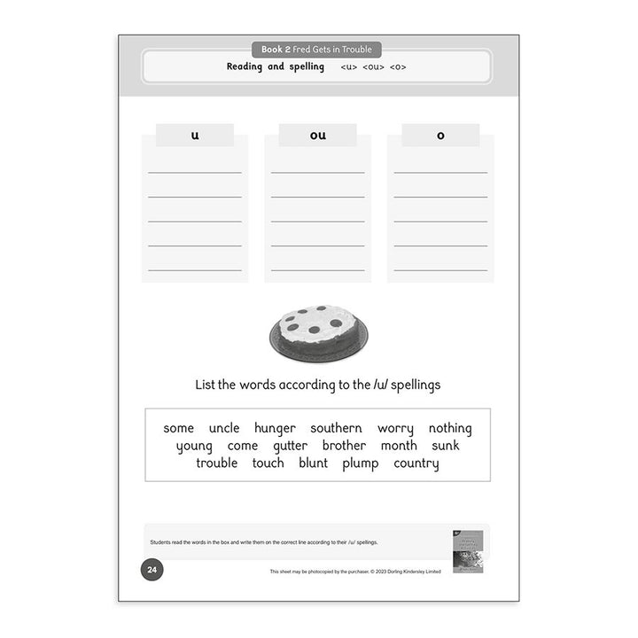 Dandelion Readers Level 4 Reading and Spelling Activities