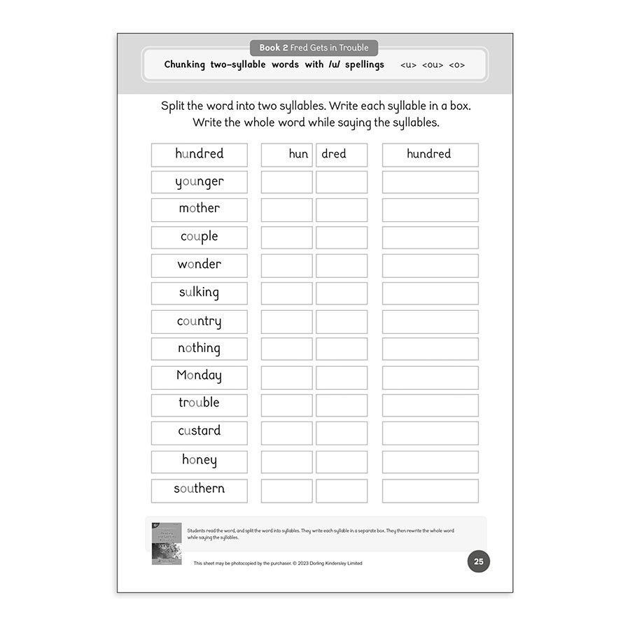 Dandelion Readers Level 4 Reading and Spelling Activities