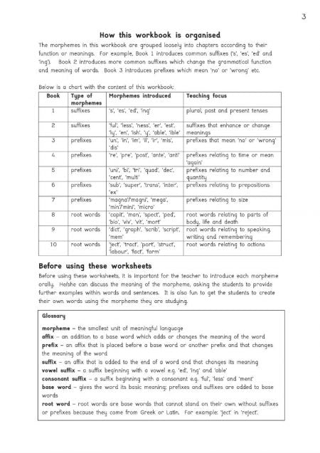 Amber Guardians Activity Book