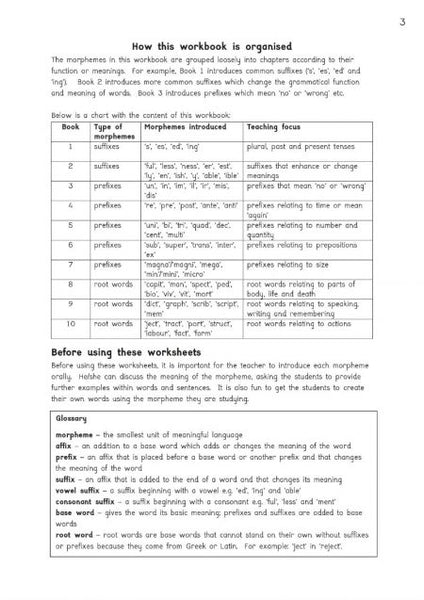 Amber Guardians, Workbook (US Edition)