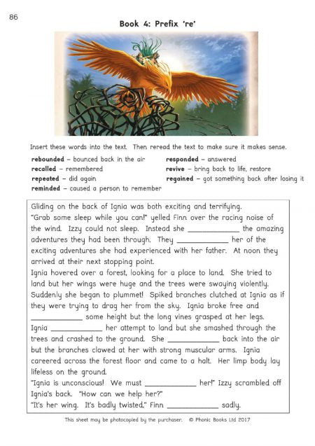 Amber Guardians Activity Book