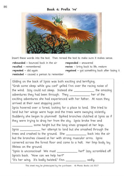 Amber Guardians, Workbook (US Edition)