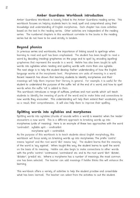 Amber Guardians Activity Book