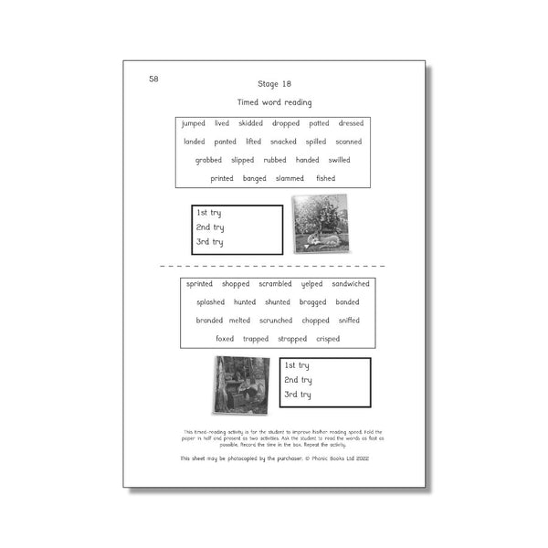 Dandelion Launchers, Stage 16-20 Workbook