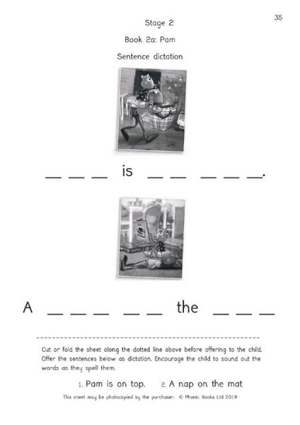 Dandelion Launchers, Stages 1-7 Workbook (US Edition)