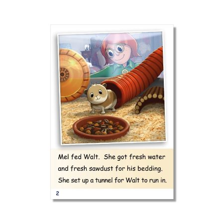 Dandelion Readers, Vowel Spellings, Level 2 (US Edition)