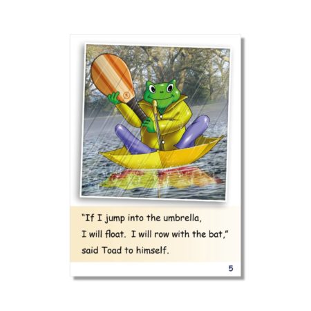 Dandelion Readers, Vowel Spellings, Level 2 (US Edition)