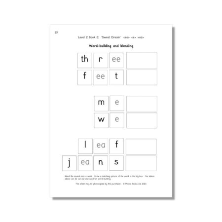 Dandelion Readers, Vowel Spellings, Level 2 Workbook (US Edition)