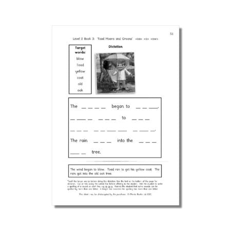 Dandelion Readers, Vowel Spellings, Level 2 Workbook (US Edition)